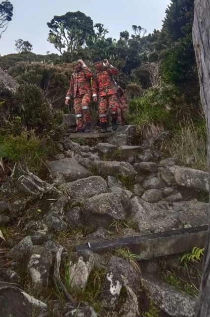 攀神山扭傷腳 女子被抬下山