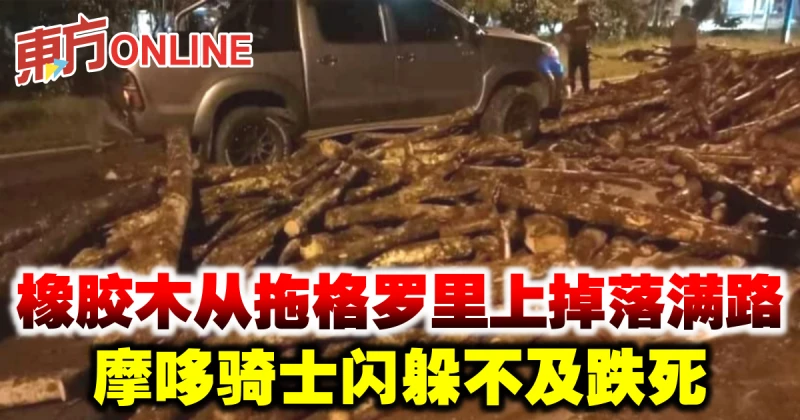 橡膠木從拖格羅里上掉落滿路　摩哆騎士閃躲不及跌死