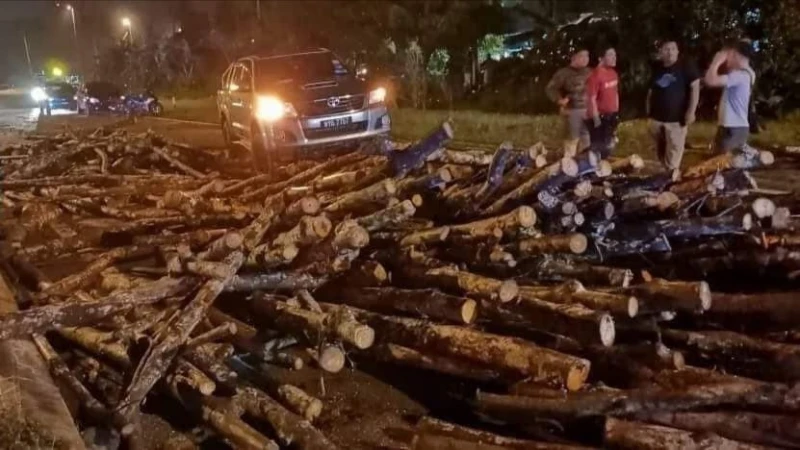 橡膠木從拖格羅里上掉落滿路　摩哆騎士閃躲不及跌死