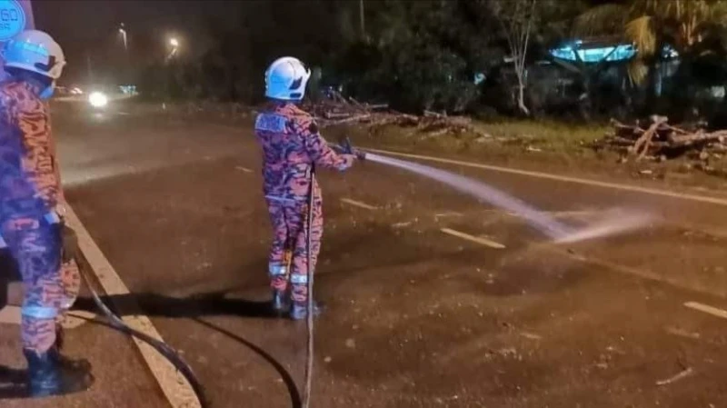 橡膠木從拖格羅里上掉落滿路　摩哆騎士閃躲不及跌死