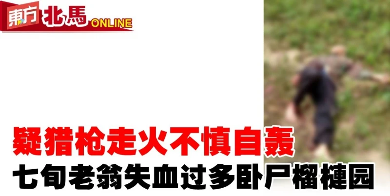 疑獵槍走火不慎自轟　七旬老翁失血過多臥屍榴槤園