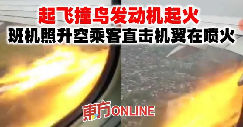 起飛撞鳥發動機起火　班機照升空乘客直擊「機翼在噴火」