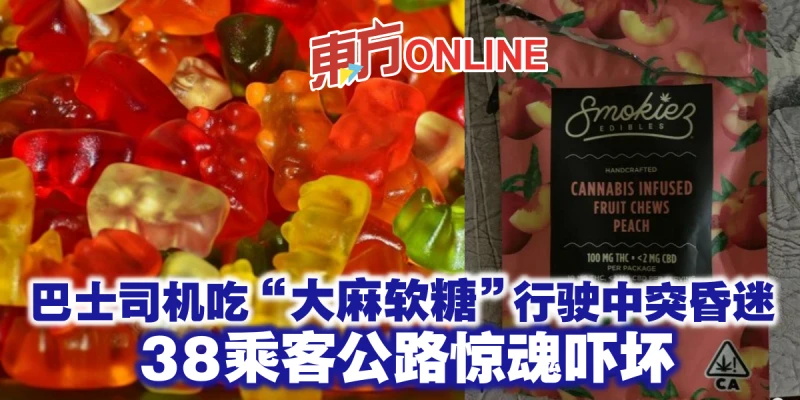 巴士司機吃「軟糖」行駛途中突昏迷　38乘客公路驚魂嚇壞