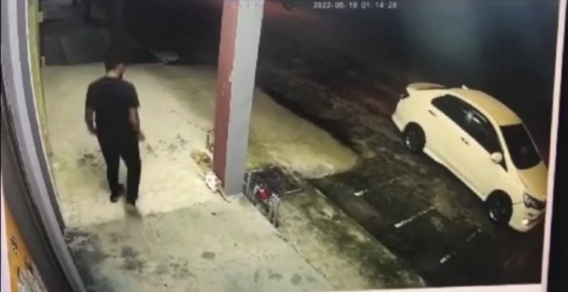 男子在外虐貓延扣3天　住家養許多貓引熱議