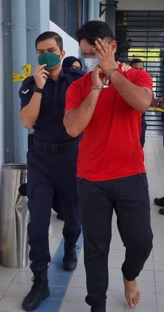 男子在外虐貓延扣3天　住家養許多貓引熱議