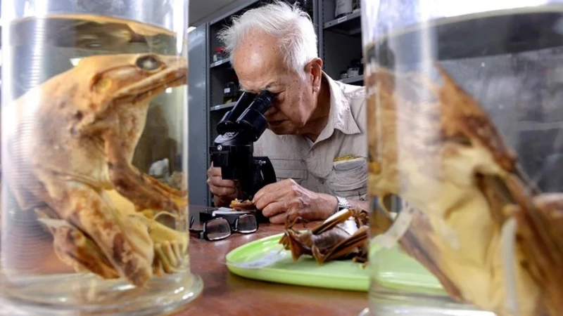 谷歌塗鴉今日致敬傑出人物——「大馬已故動物學先驅林武烈」