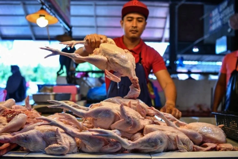 肉雞業者承諾價格不會大漲 貿消部長警告對付牟暴利業者