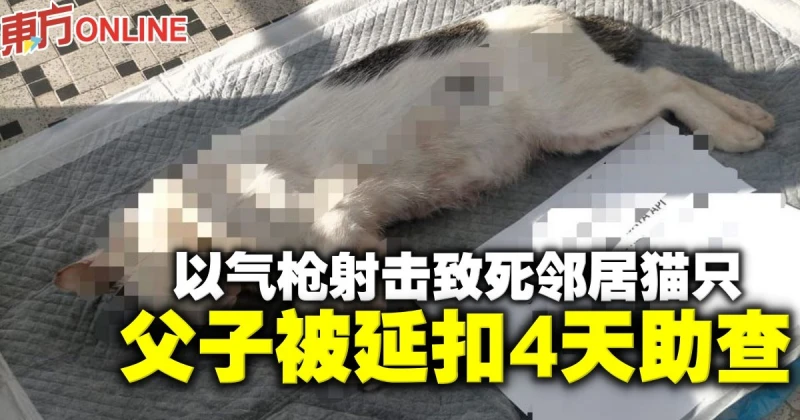 以氣槍射擊致死鄰居貓只　父子被延扣4天助查