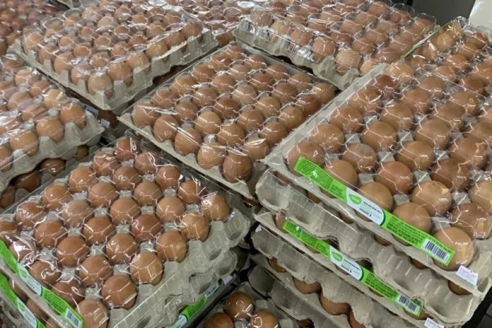 熟食業者冀政府勿取消肉雞雞蛋頂價