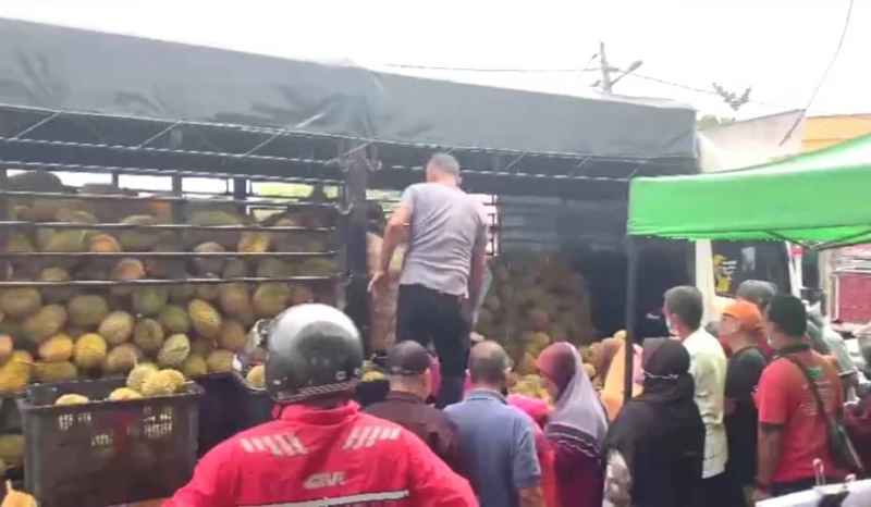 每公斤僅售1.99令吉　1.5噸榴槤40分鐘被搶空