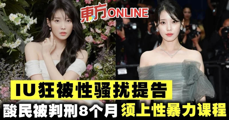 IU狂被性騷擾提告　酸民被判刑8個月須上性暴力防治課程