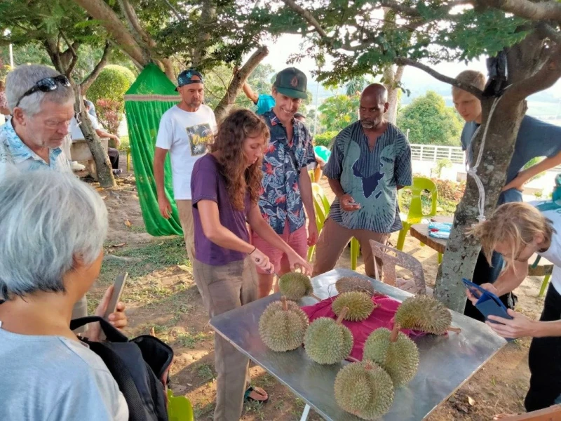 美國「榴槤達人」帶團來大馬　狂磕榴槤解饞