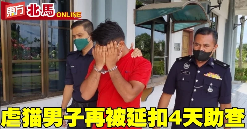 虐貓男子再被延扣4天助查