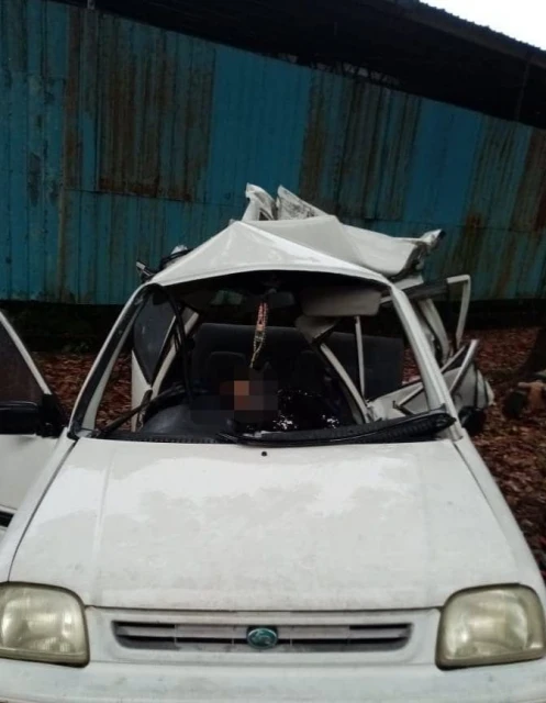 靈鹿撞入反方向車道遭羅里撞擊　7歲女童當場斃命