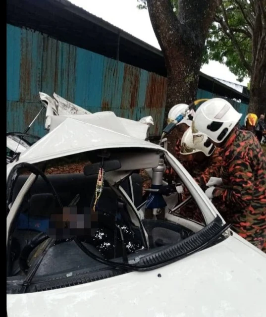 靈鹿撞入反方向車道遭羅里撞擊　7歲女童當場斃命