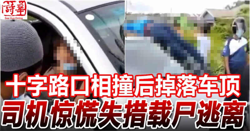 十字路口相撞後掉下車頂　司機驚慌失措載屍逃離