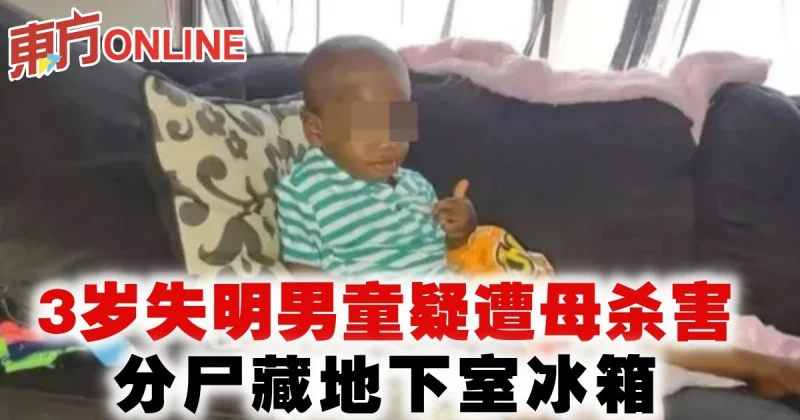 3歲失明男童疑遭母殺害　分屍藏地下室冰箱