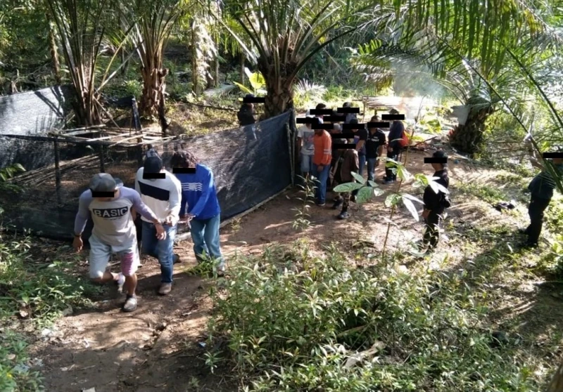 柔警打擊毒品活動　3天捕318人包括通緝犯