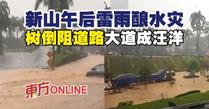 新山午後雷雨釀水災 　樹倒阻道路 大道成汪洋