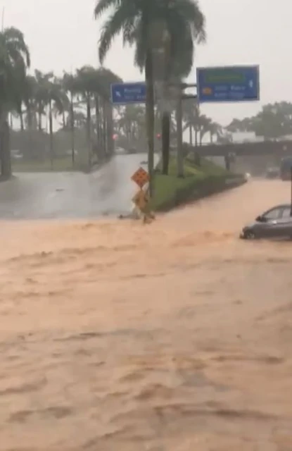 新山午後雷雨釀水災 　樹倒阻道路 大道成汪洋