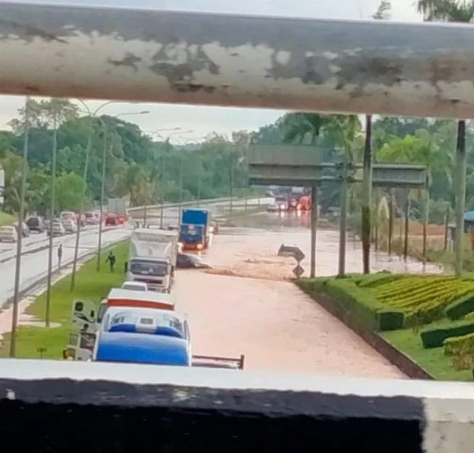 新山午後雷雨釀水災 　樹倒阻道路 大道成汪洋