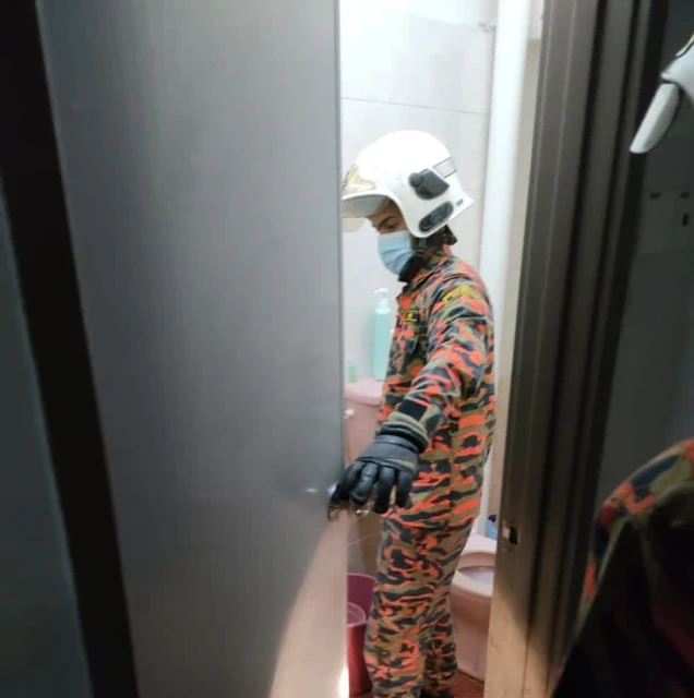 小蟒蛇蜷縮在浴室籃子　屋主飽受驚嚇向消拯局求助