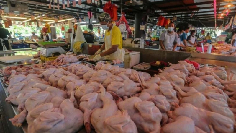 大馬肉雞頂價出爐  每公斤RM9.40  雞蛋介於41至45仙