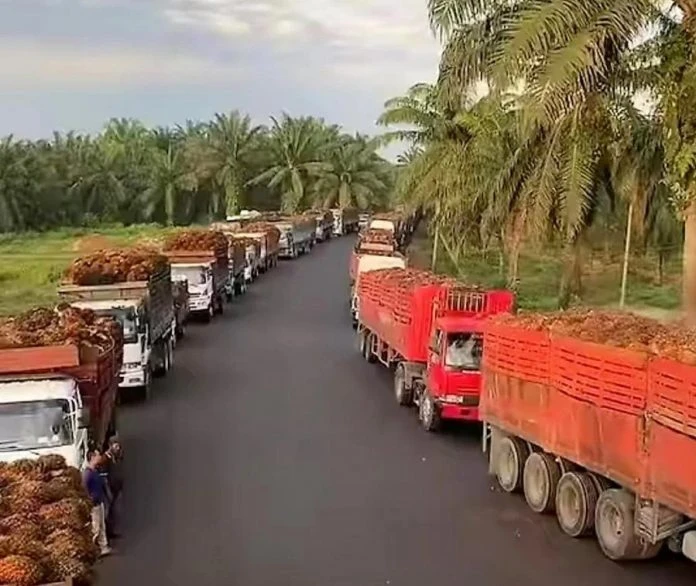 提煉廠暫停收果止損　收購商建議折衷計價方案