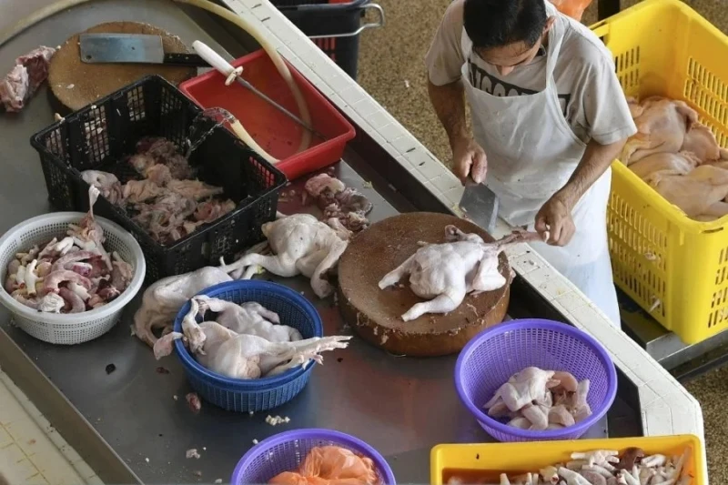 雞隻販商:新頂價低於預期 觀望政府津貼等後續因素影響