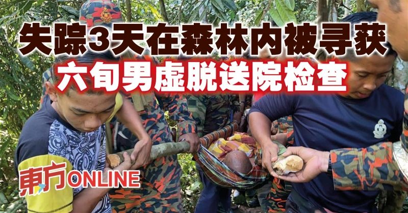 失蹤3天在森林內被尋獲　六旬男虛脫送院檢查