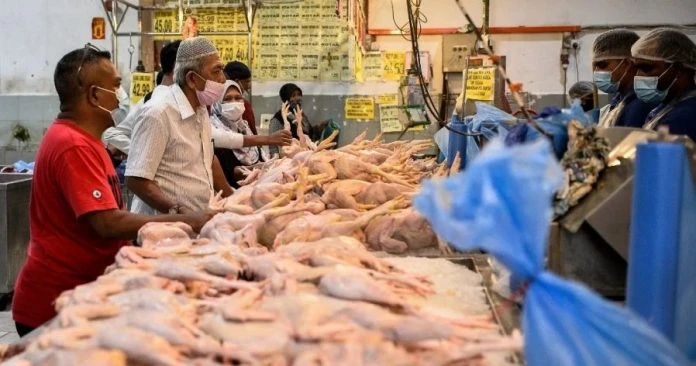 增逾3億雞肉蛋補貼撥款 政府全年承擔777億補貼