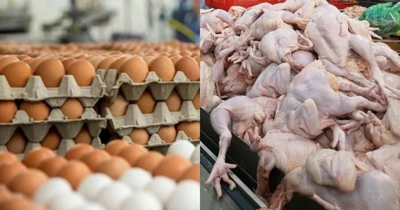 7月料漲風再起　餐飲業者急忙更改食譜