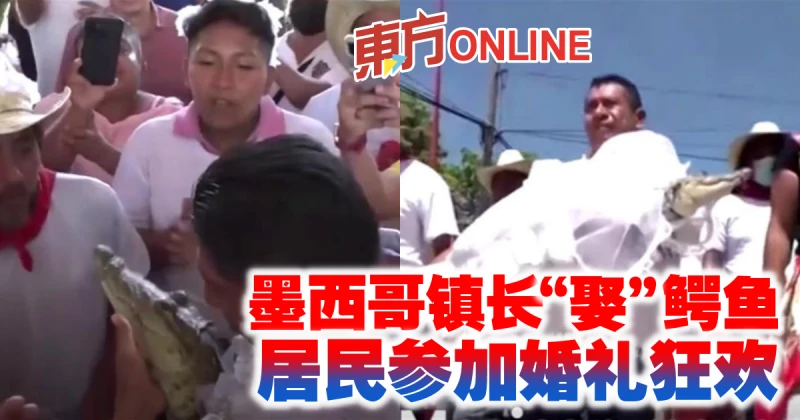 墨西哥鎮長「娶」鱷魚　居民參加婚禮狂歡