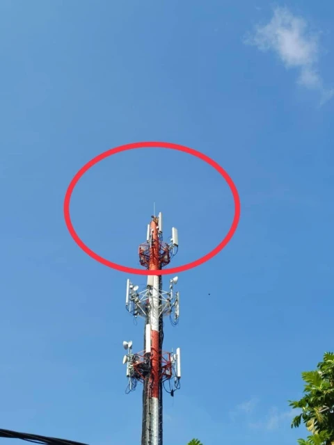 精神病男爬上45公尺高電訊塔　消拯員花逾5小時成功勸阻