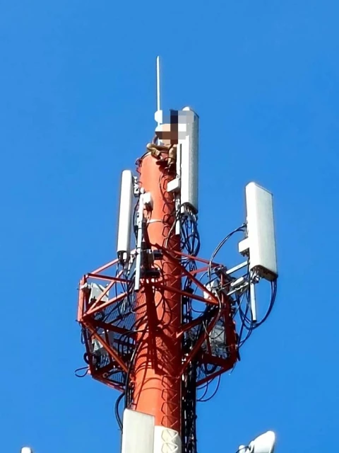 精神病男爬上45公尺高電訊塔　消拯員花逾5小時成功勸阻