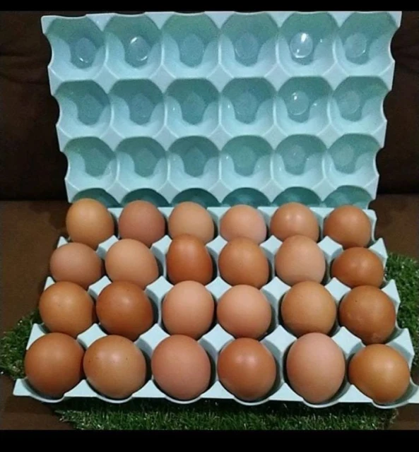 就連蛋托也收費30仙　網民：以後連1根橡皮筋也要錢？