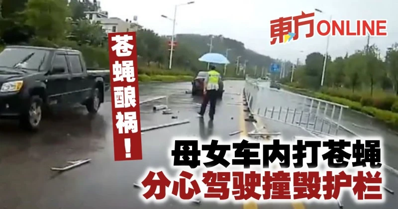 蒼蠅釀禍！母女車內打蒼蠅　分心駕駛撞毀護欄