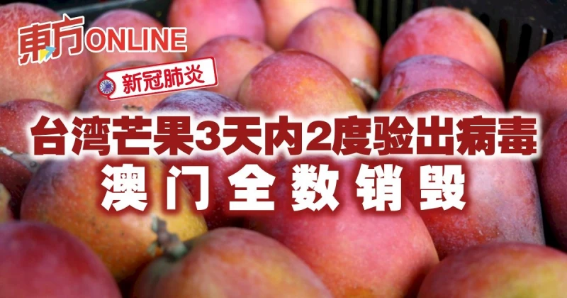 【新冠肺炎】台灣芒果3天內2度驗出病毒　澳門全數銷毀