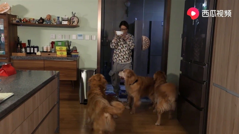 定居北京住過萬呎別墅　55歲周海媚霸氣反擊「仍單身」言論