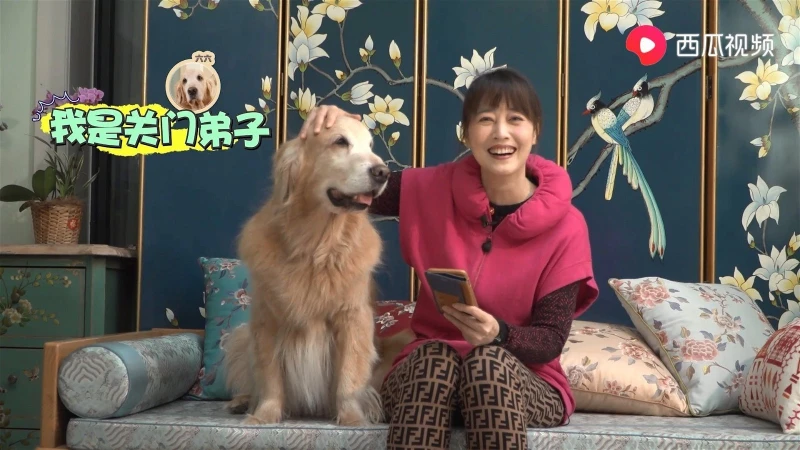 定居北京住過萬呎別墅　55歲周海媚霸氣反擊「仍單身」言論