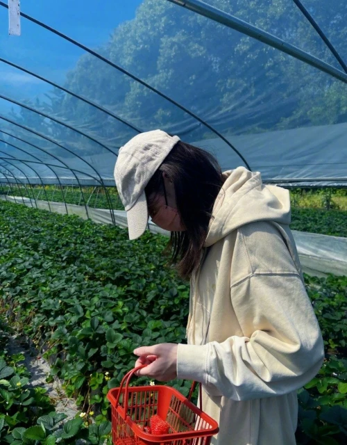 迪麗熱巴曬采草莓美照　完美示範「無死角防曬」