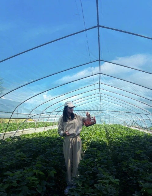 迪麗熱巴曬采草莓美照　完美示範「無死角防曬」