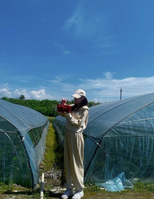 迪麗熱巴曬采草莓美照　完美示範「無死角防曬」