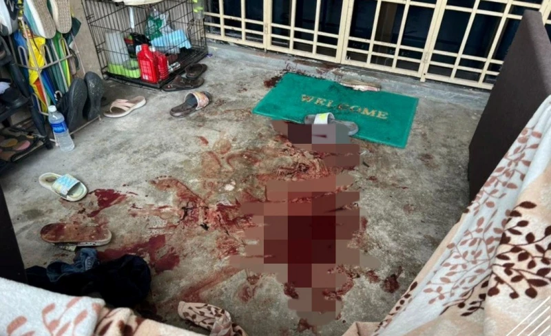 裸男涉殺妻兒案　兩人原定本月辦婚禮