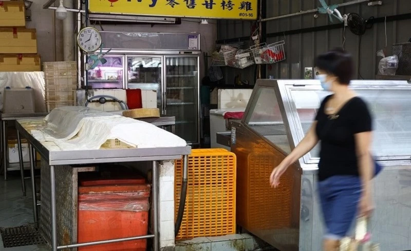 馬國生鮮雞出口禁令解除遙遙無期　我國小販各顯神通渡難關