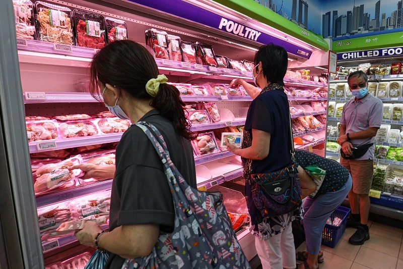 馬國生鮮雞出口禁令解除遙遙無期　我國小販各顯神通渡難關