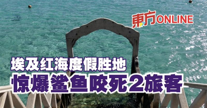 埃及紅海度假勝地　驚爆鯊魚咬死2旅客