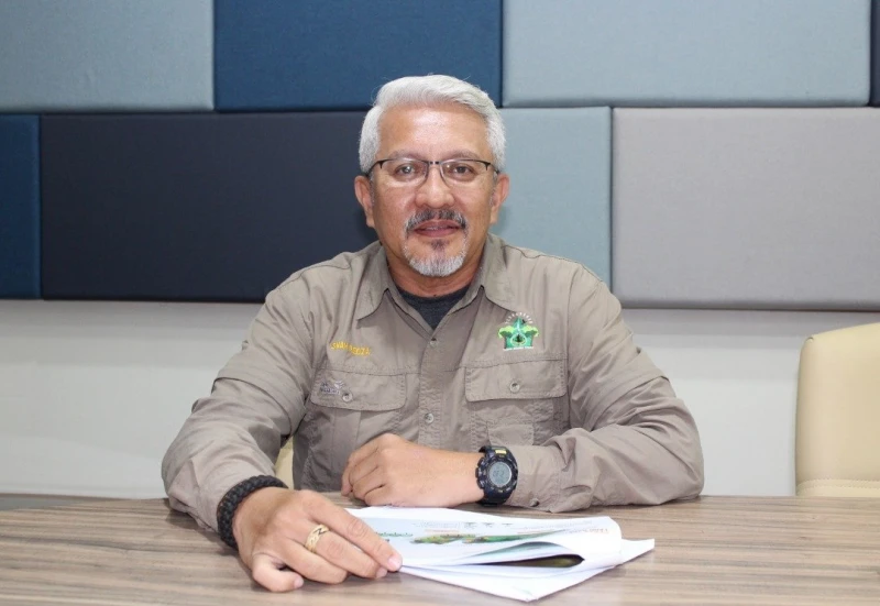 受保護森林隱藏鏡頭捕獲　野生虎媽媽與4虎崽同行