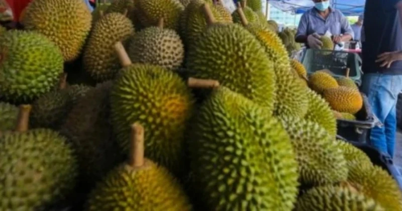 挑選榴槤3招　看刺、搖果及看外殼