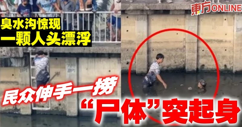 臭水溝驚現一顆人頭漂浮　民眾伸手一撈「屍體」突起身